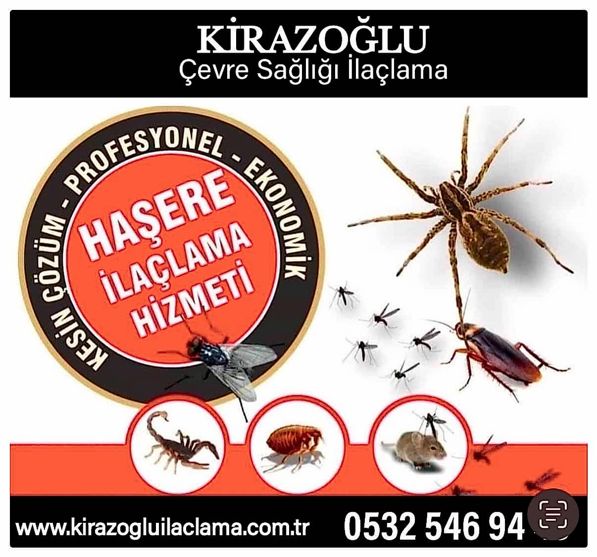 kiraz1