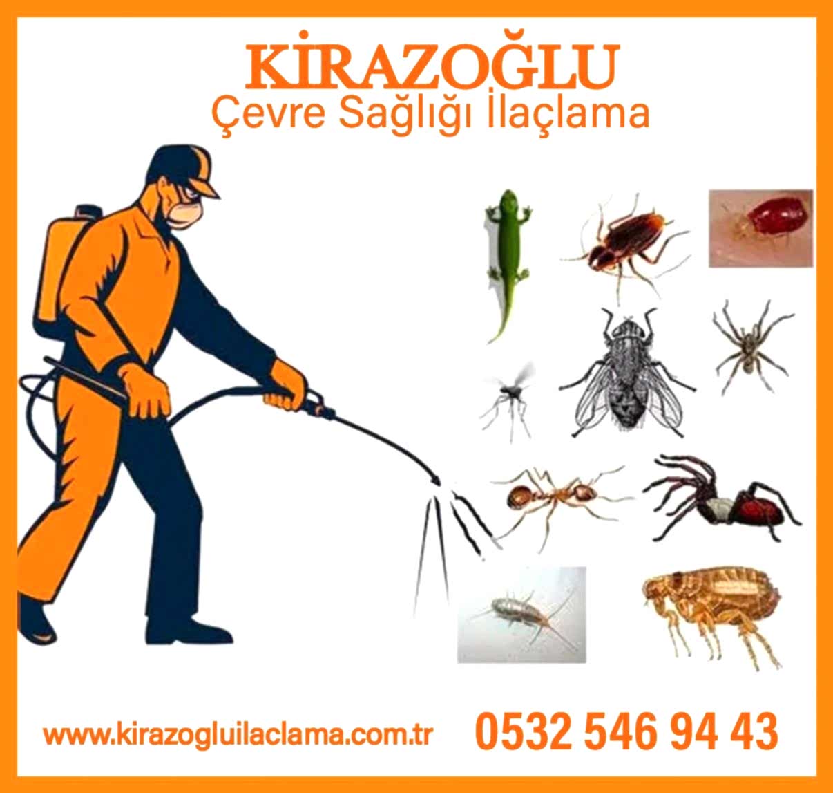 kiraz2