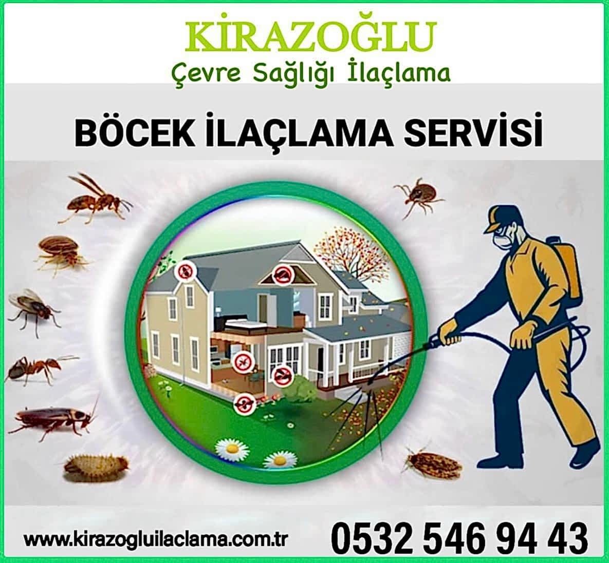 kiraz3