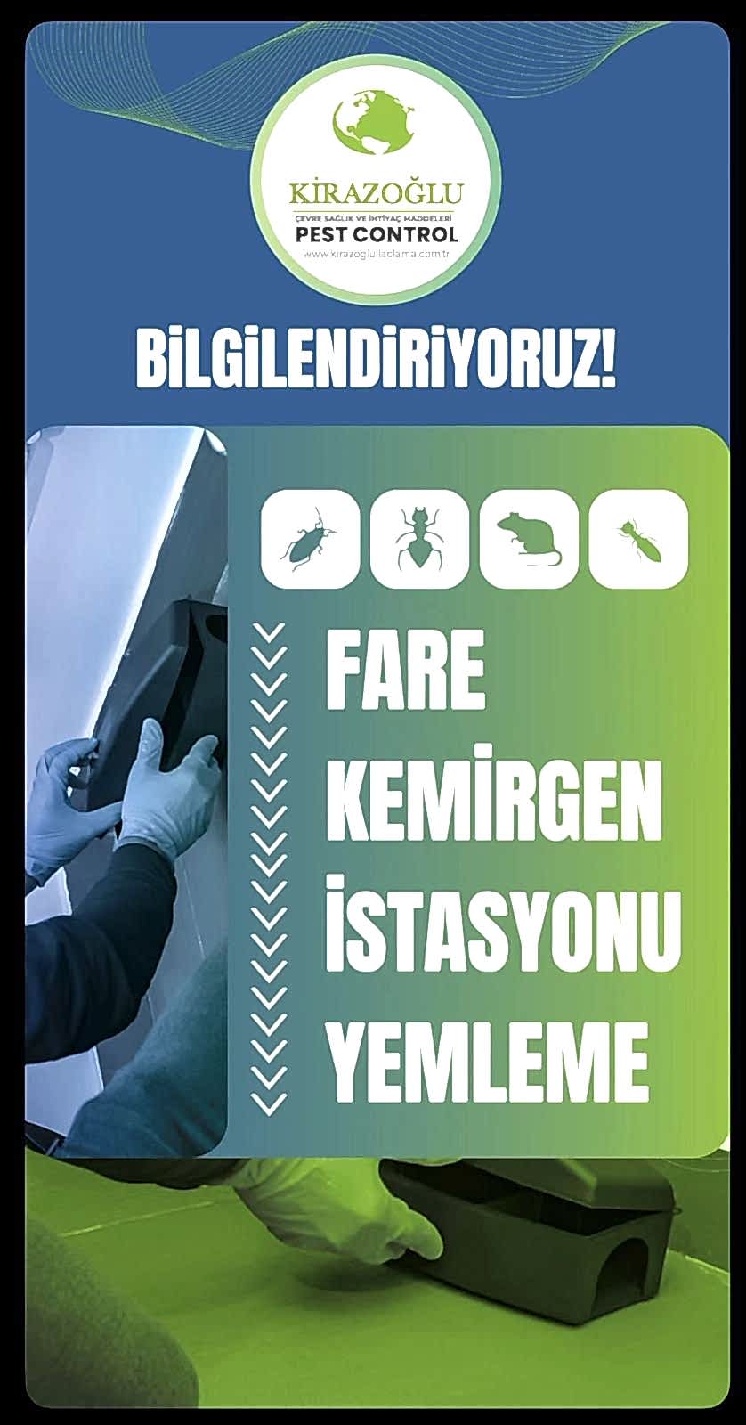 kiraz4