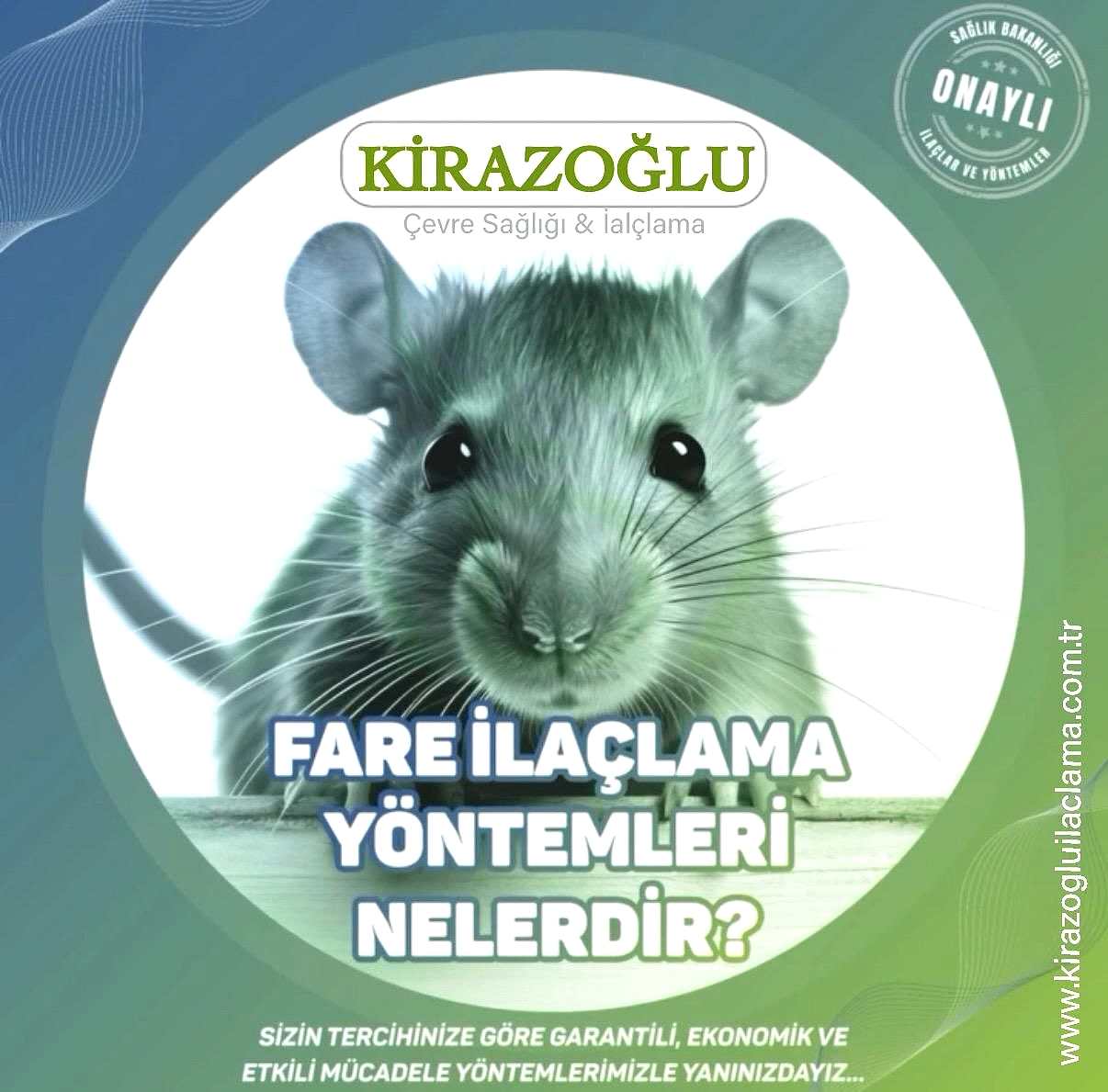 kiraz6